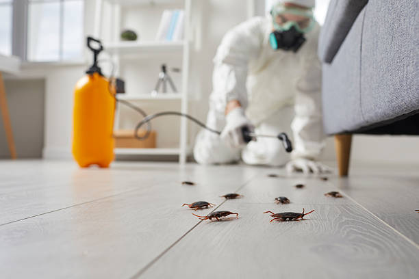 Commercial Kitchen Cockroach Control in Bergenfield